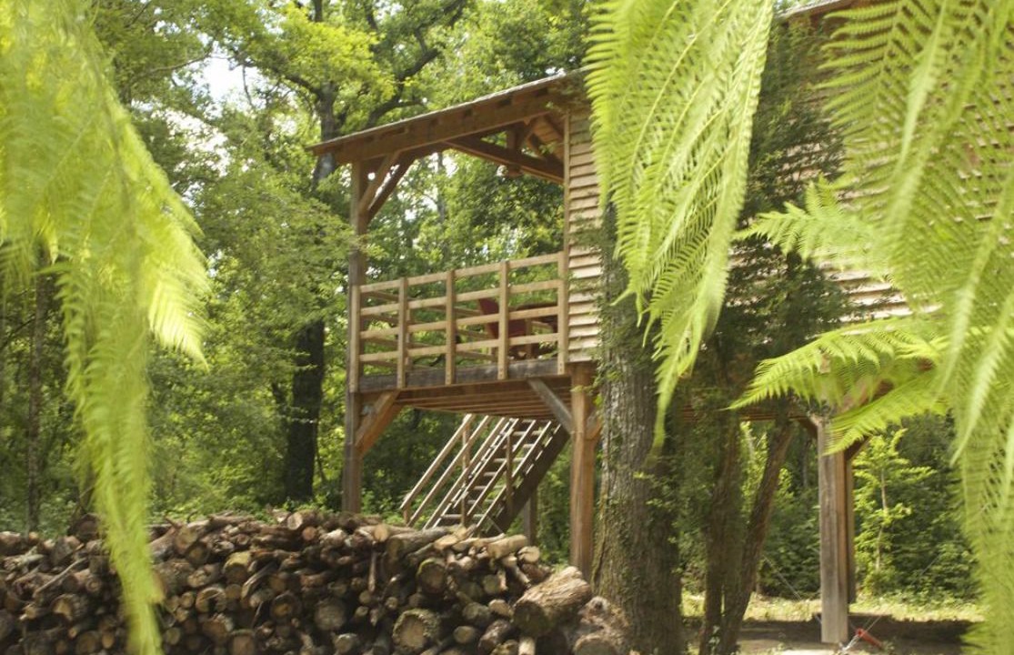 Photo of Outdoor in Saint-Georges-des-Sept-Voies