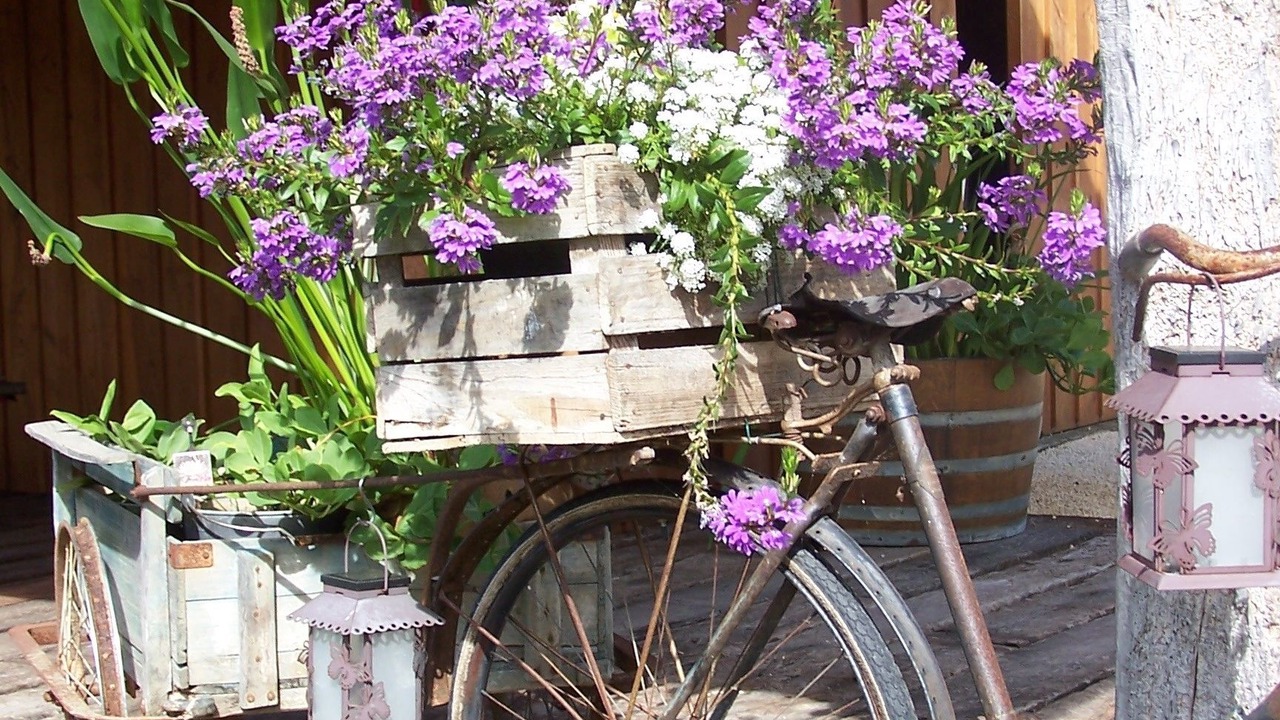 Photo of Outdoor in Le Temple-sur-Lot