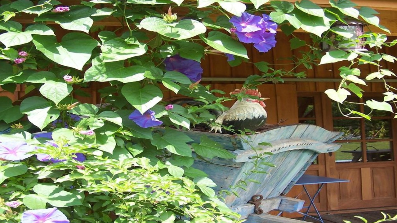 Photo of Outdoor in Le Temple-sur-Lot