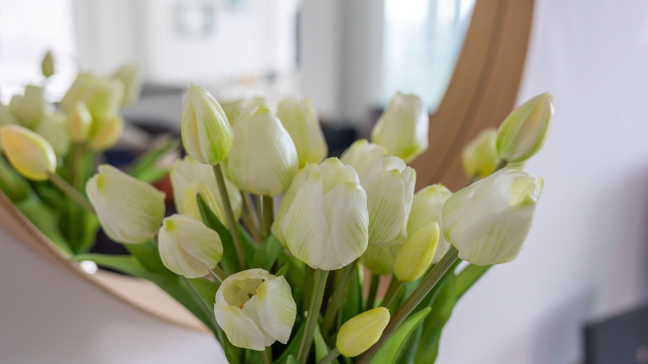 Photo of Others in Bournemouth City Centre