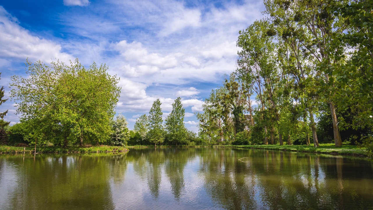 Photo of Outdoor in Distre