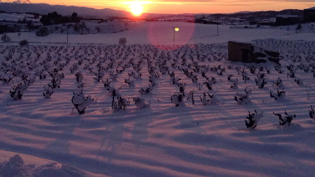 Photo of Outdoor in Vallverd