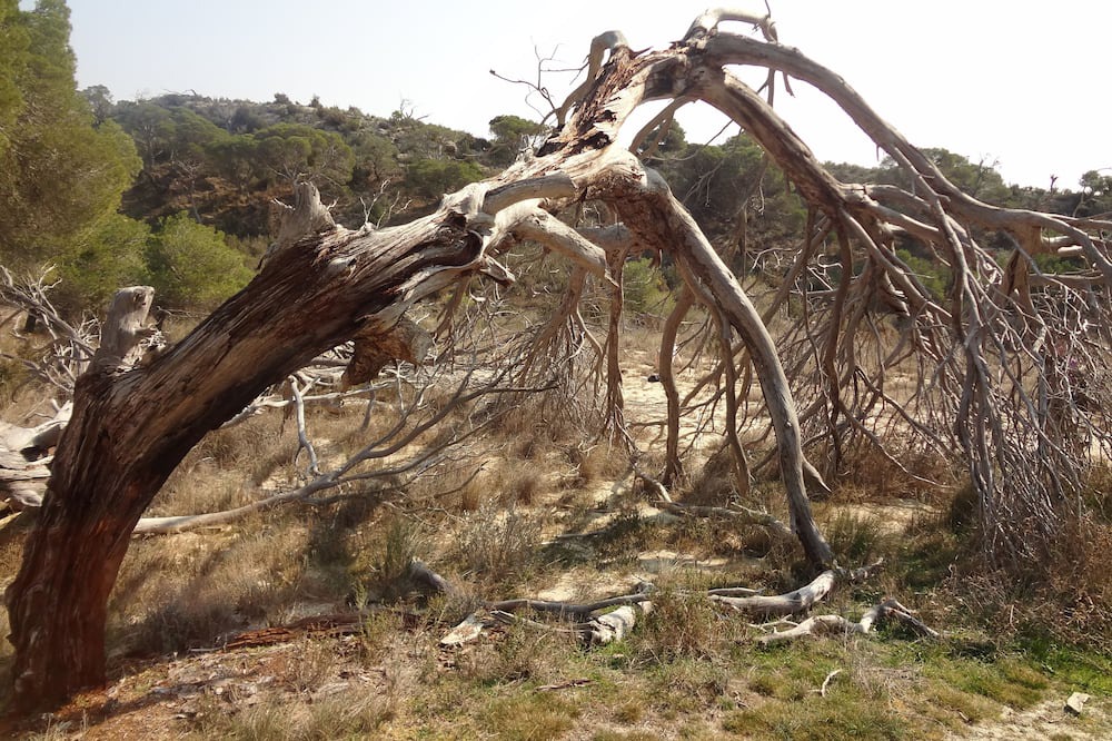 Photo of Outdoor in Valtierra