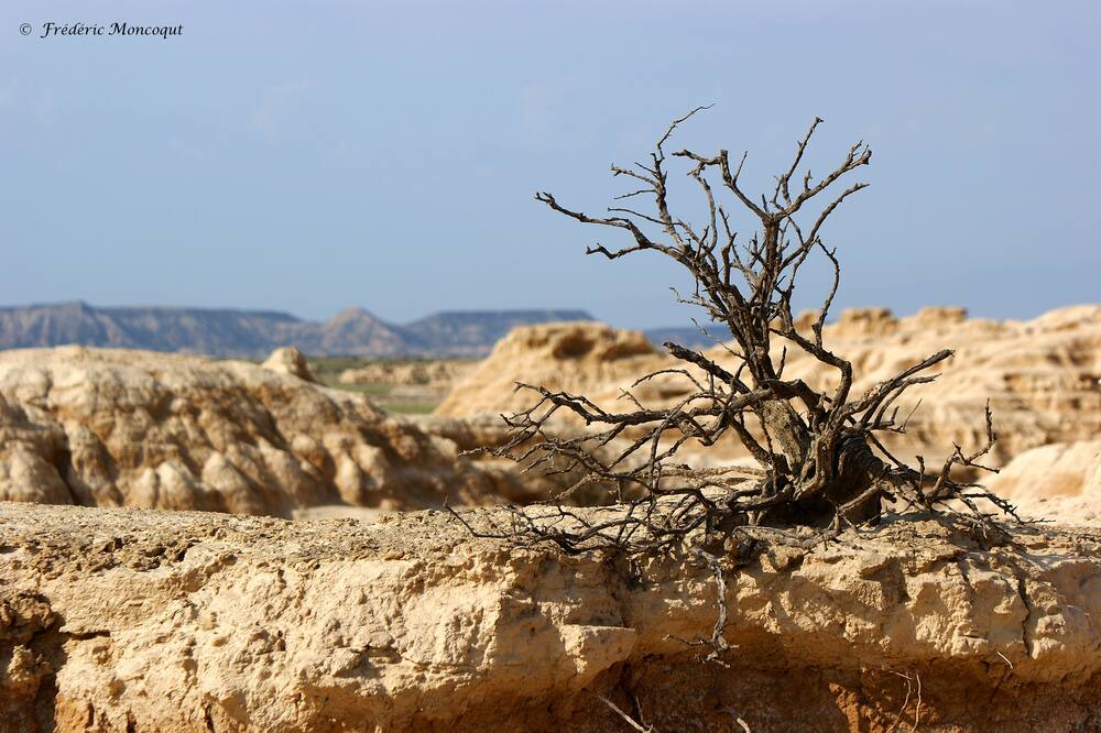 Photo of Others in Valtierra