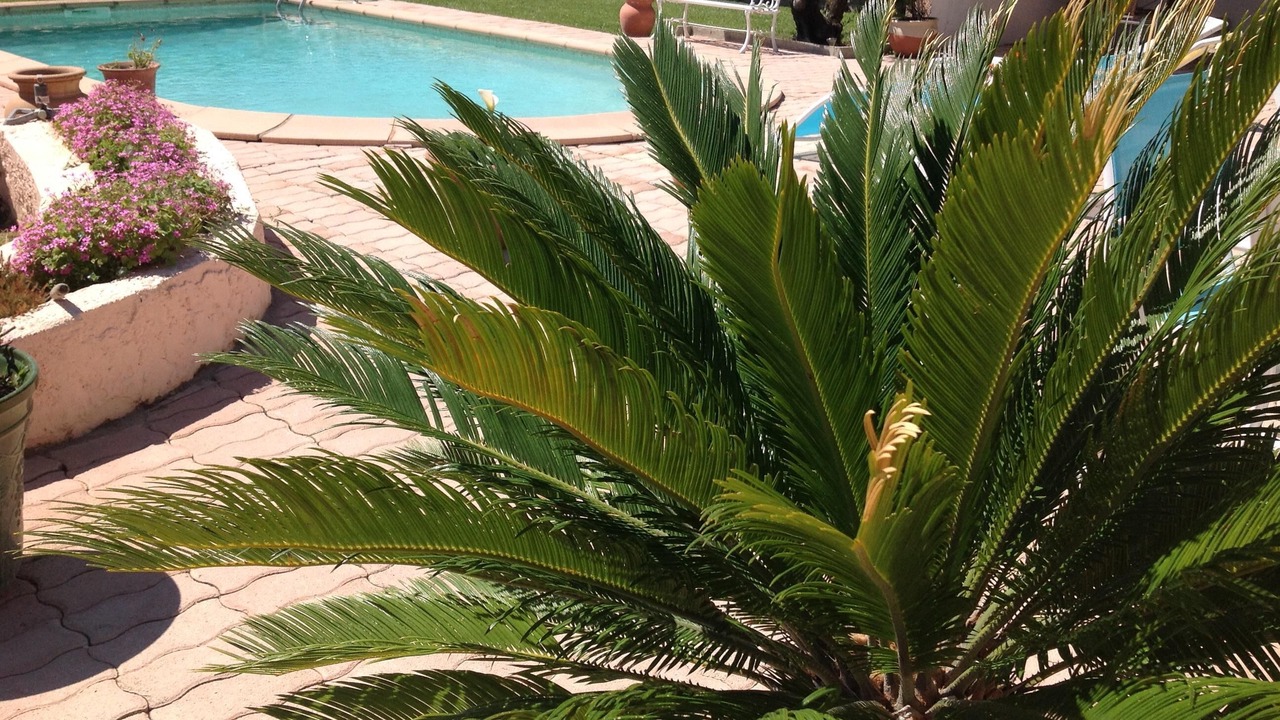 Photo of Outdoor in Clarensac