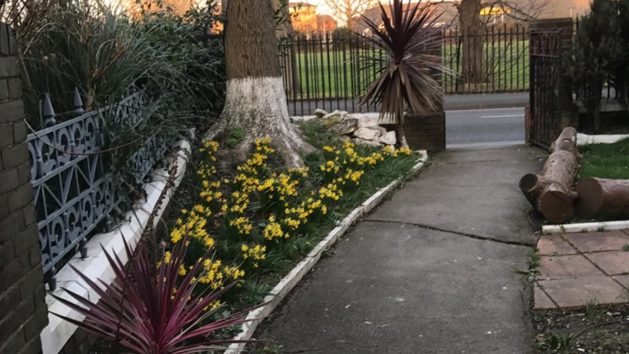 Photo of Outdoor in Gosport