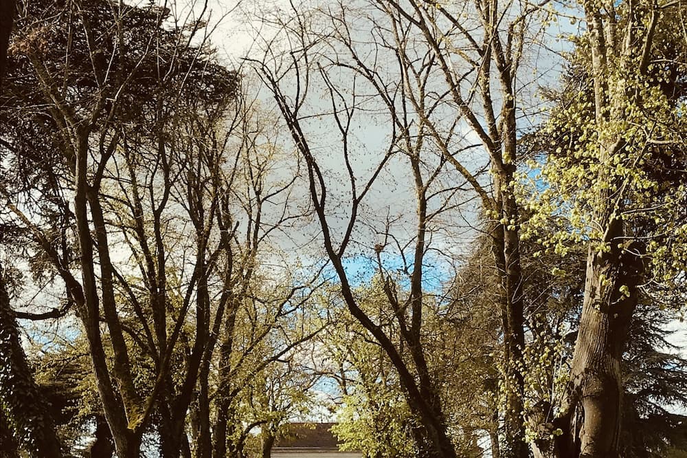 Photo of Outdoor in Sainte-Bazeille