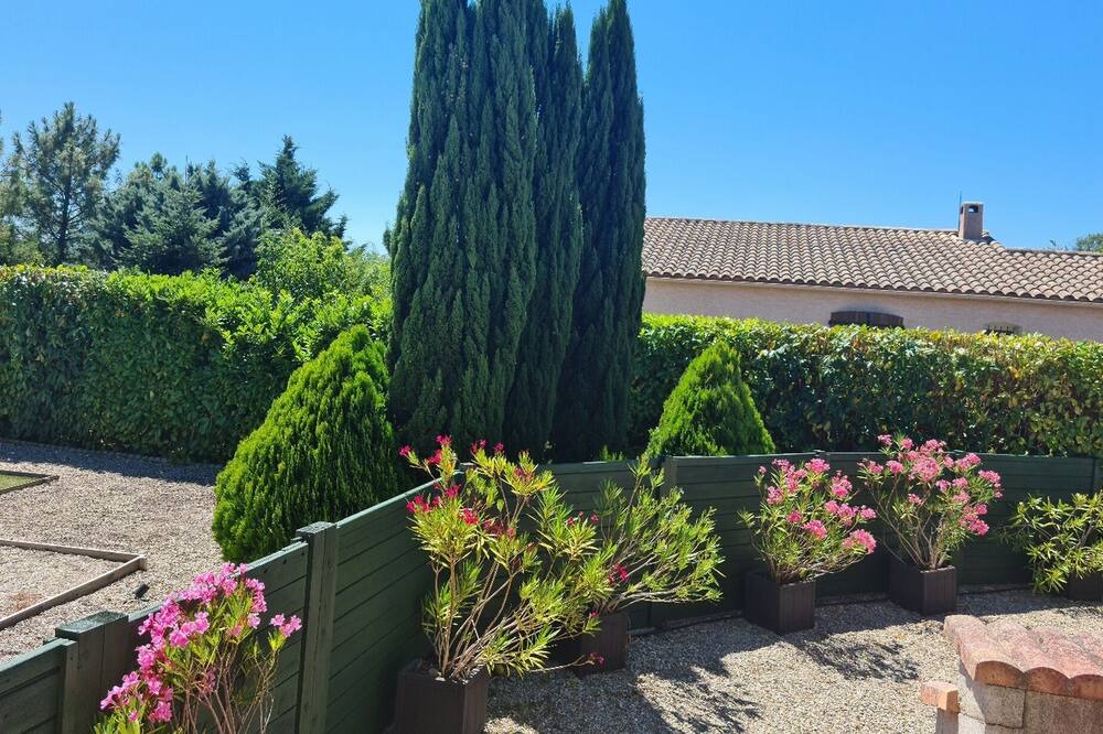Photo of Outdoor in Cambieure