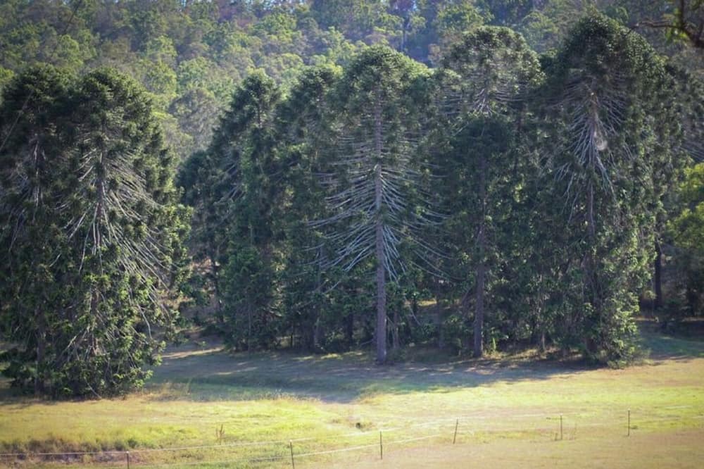 Photo of Outdoor in Kenilworth