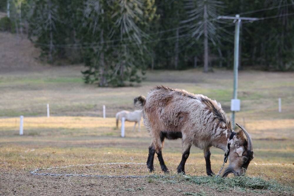 Photo of Outdoor in Kenilworth