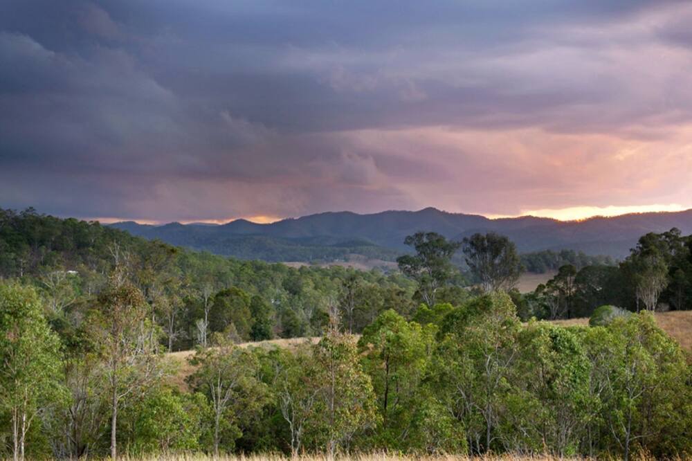 Photo of Others in Kenilworth