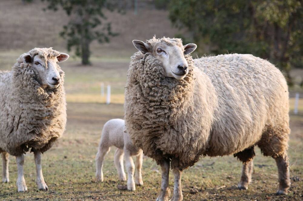 Photo of Outdoor in Kenilworth