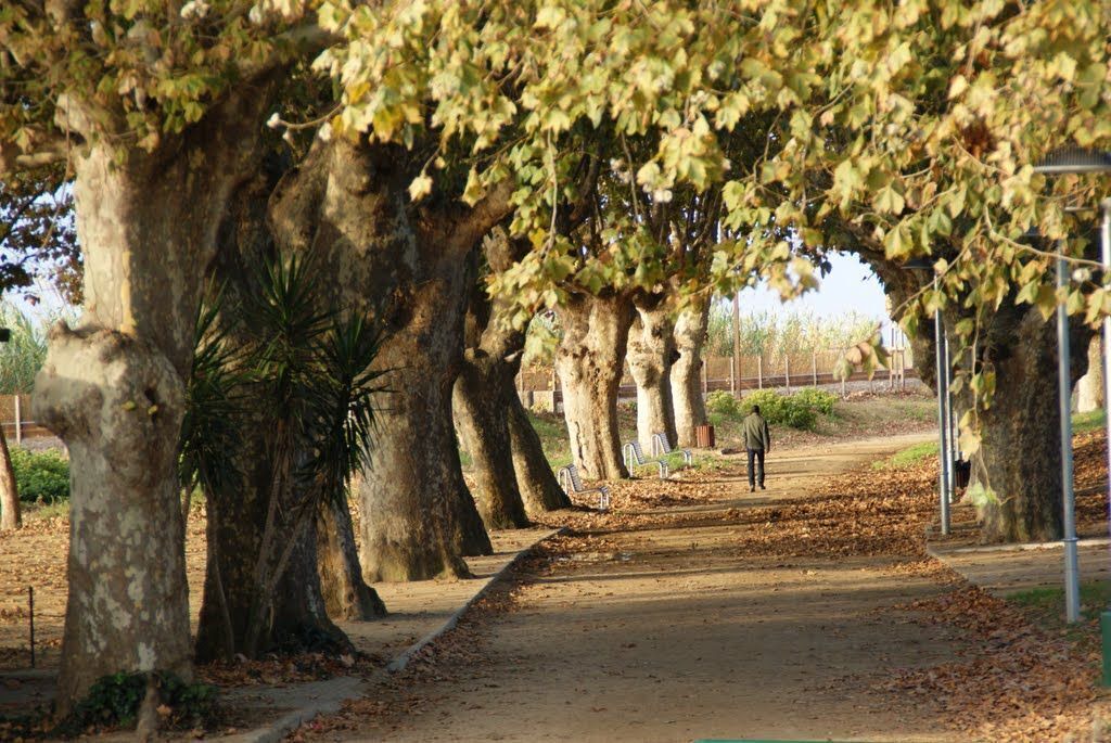 Photo of Outdoor in Sant Pol De Mar