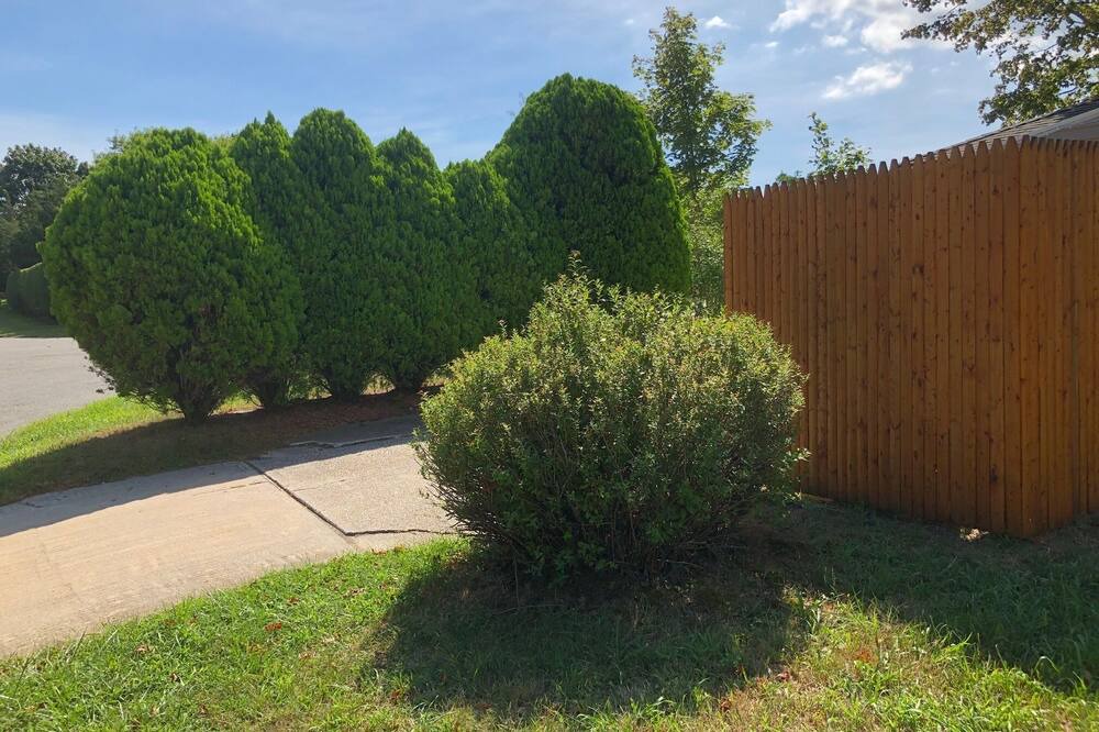 Photo of Others in Westhampton