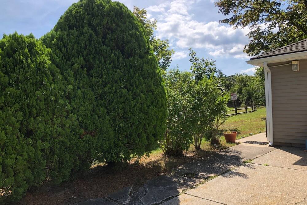 Photo of Others in Westhampton