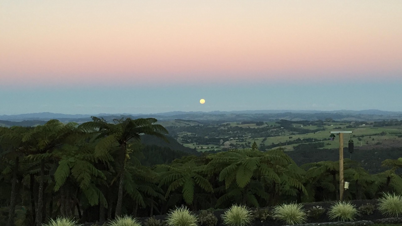 Photo of Others in Okaihau