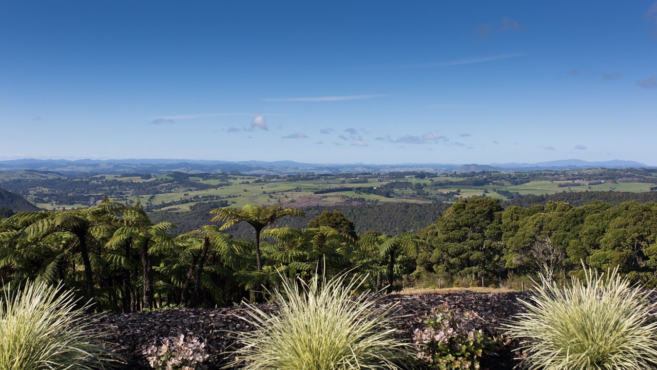 Photo of Outdoor in Okaihau