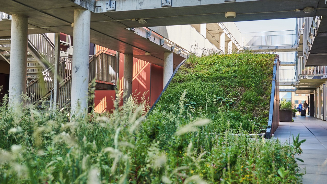 Photo of Outdoor in Aarhus North