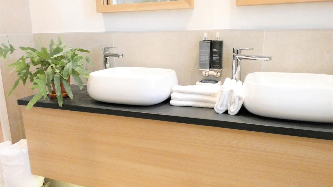 Photo of Others in Bay Horse