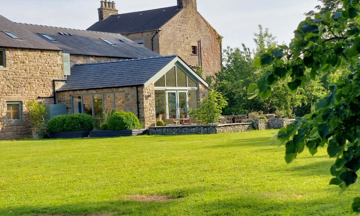 Photo of Outdoor in Bay Horse