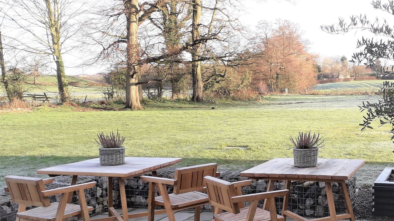 Photo of Outdoor in Bay Horse