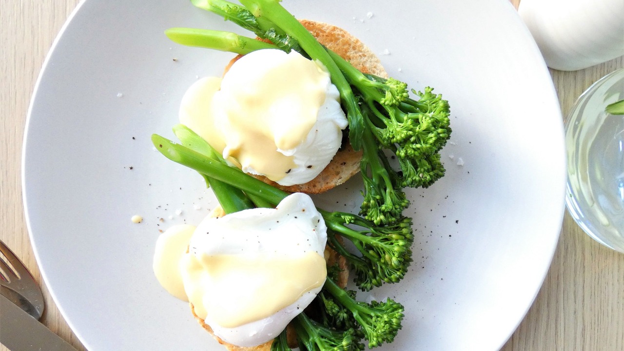 Photo of Others in Bay Horse