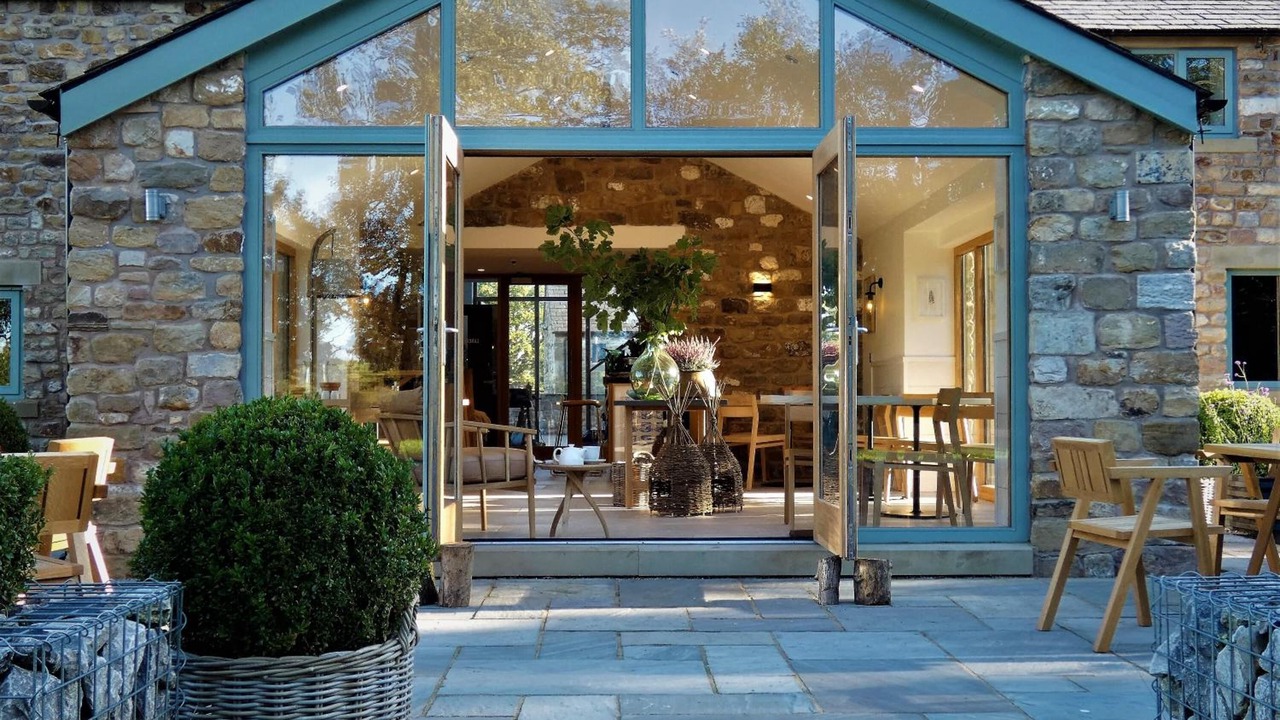 Photo of Outdoor in Bay Horse