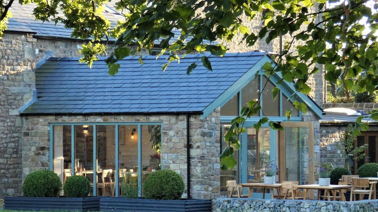 Photo of Outdoor in Bay Horse