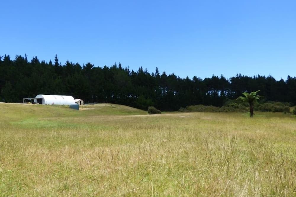 Photo of Others in Pukenui