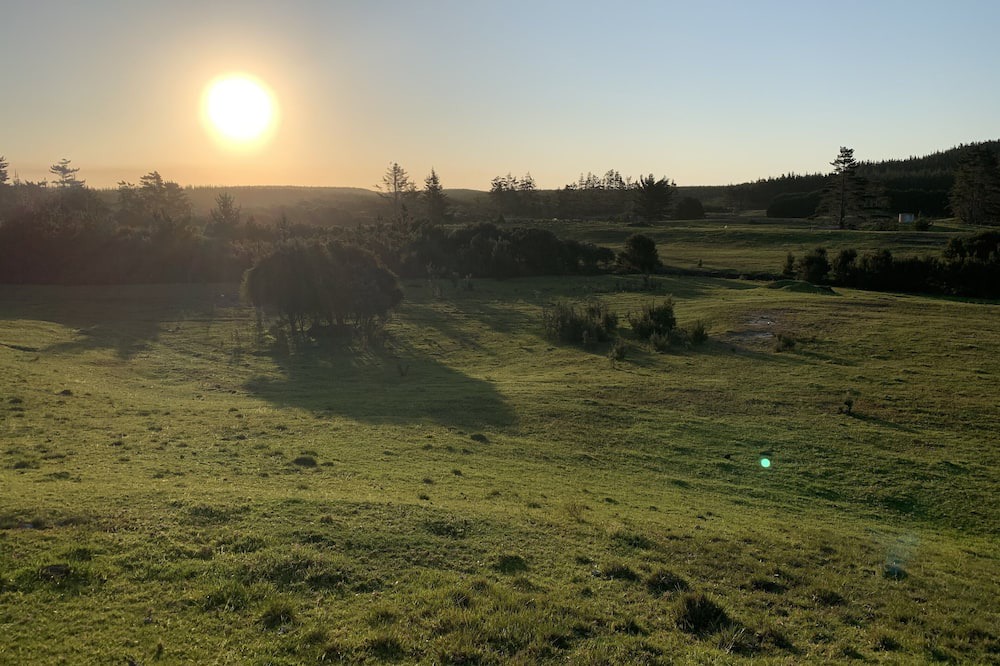 Photo of Others in Pukenui