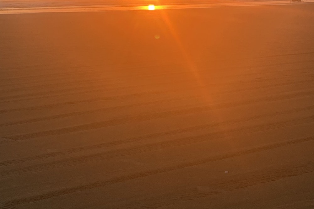 Photo of Others in Pukenui