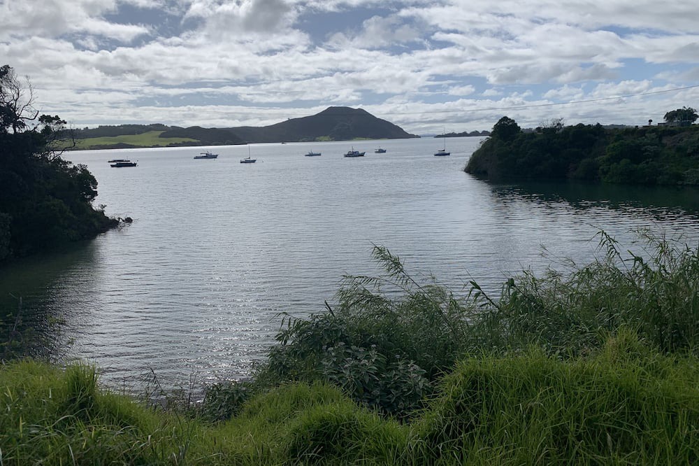 Photo of Others in Pukenui