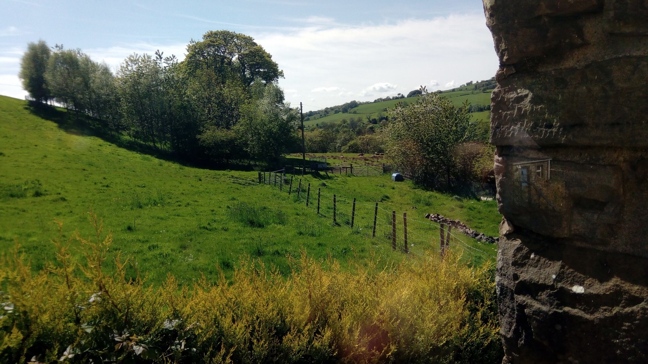 Photo of Others in Fence
