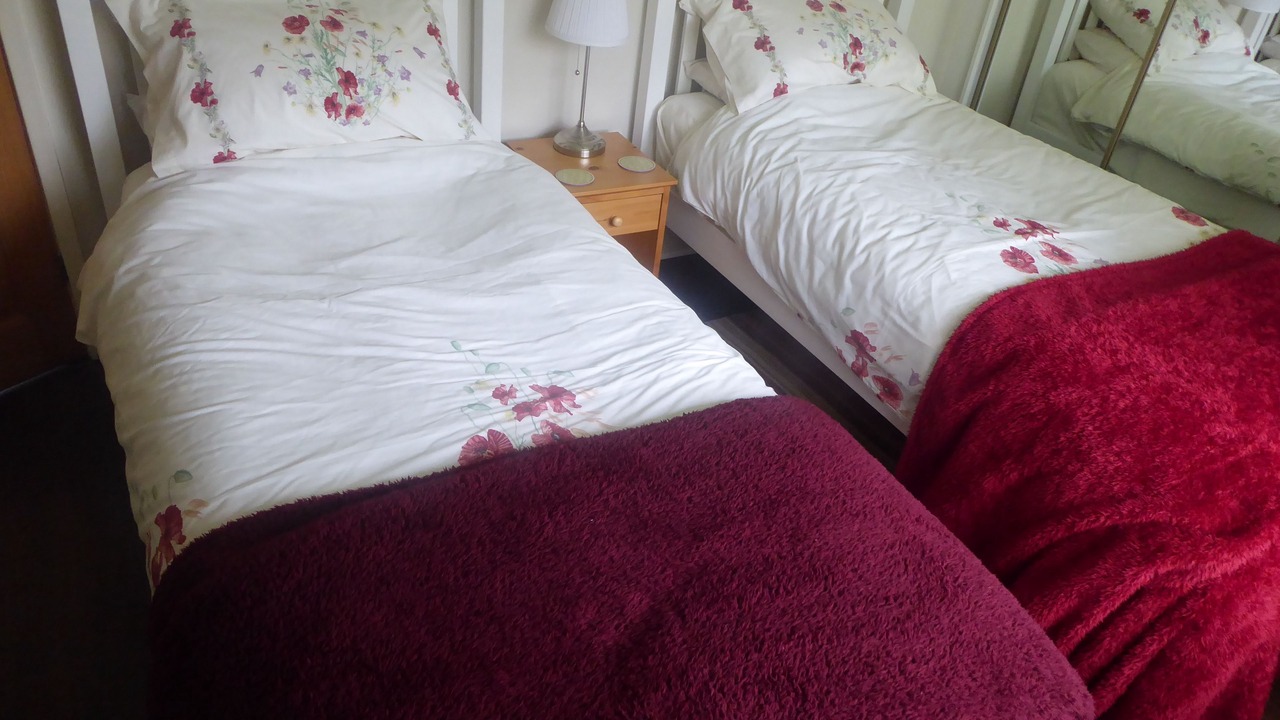 Photo of Others in Fence