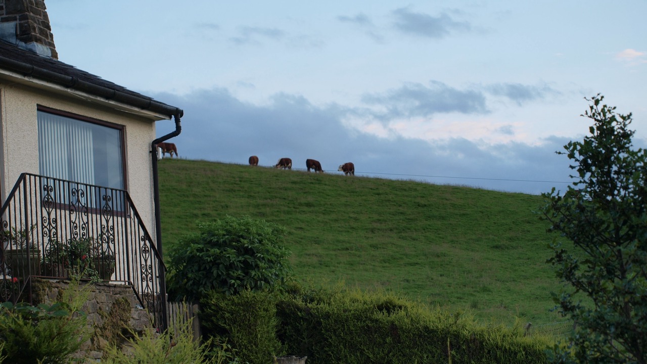 Photo of Outdoor in Fence