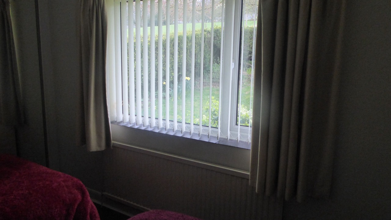 Photo of Others in Fence