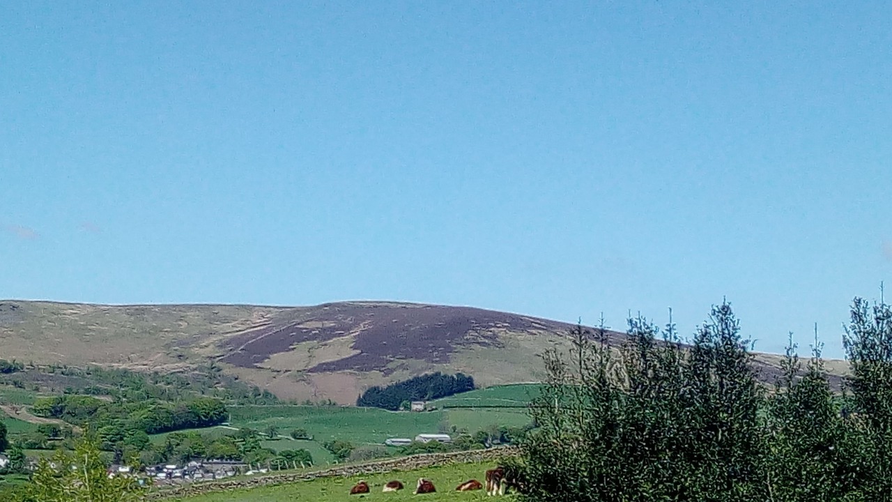 Photo of Outdoor in Fence