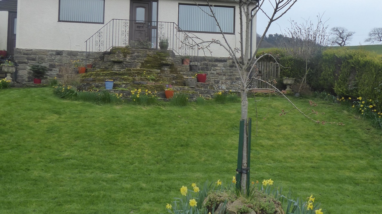 Photo of Outdoor in Fence