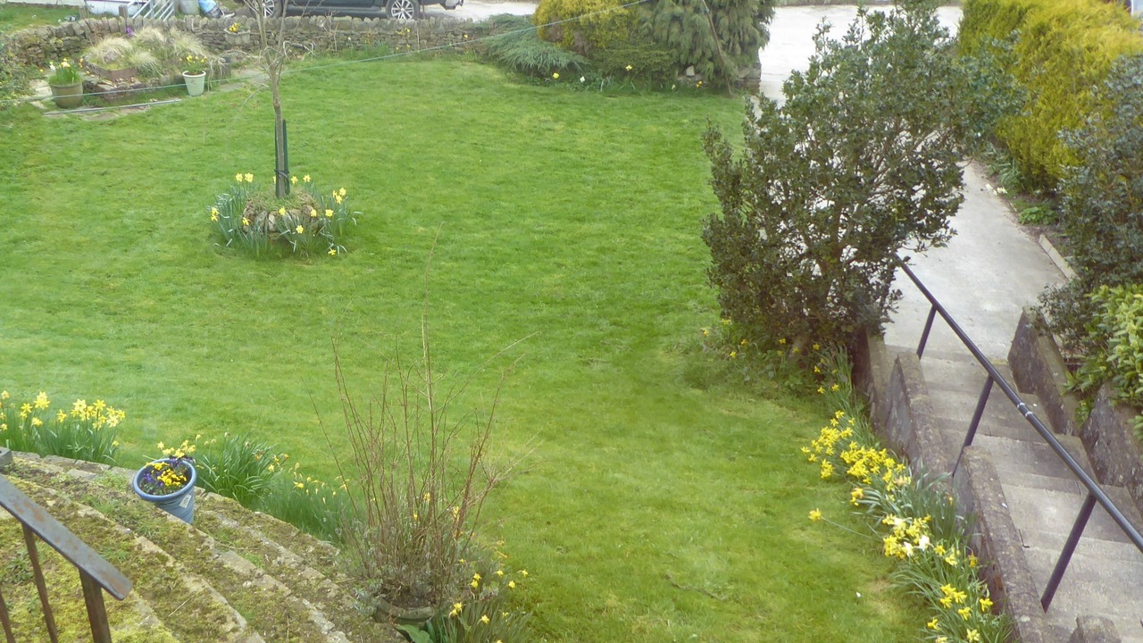 Photo of Outdoor in Fence