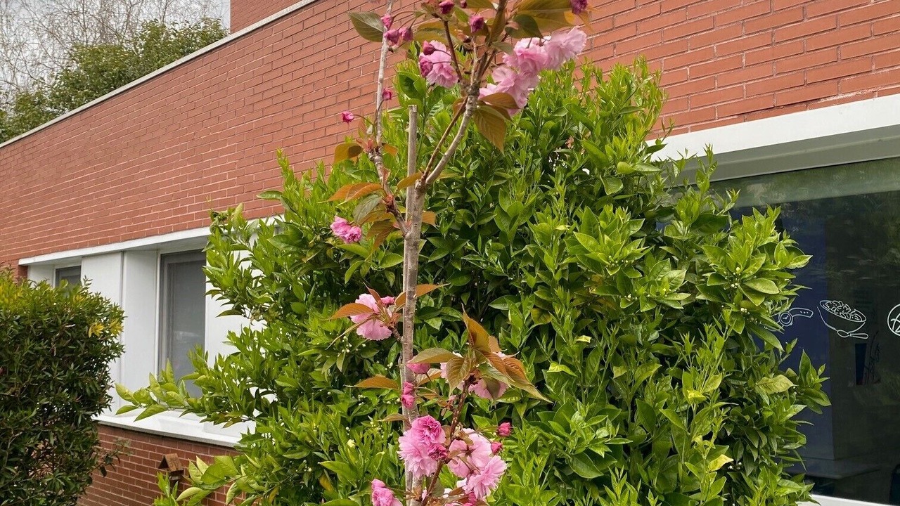 Photo of Outdoor in Arrigorriaga