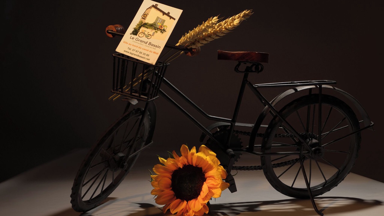 Photo of Outdoor in Castelnaudary