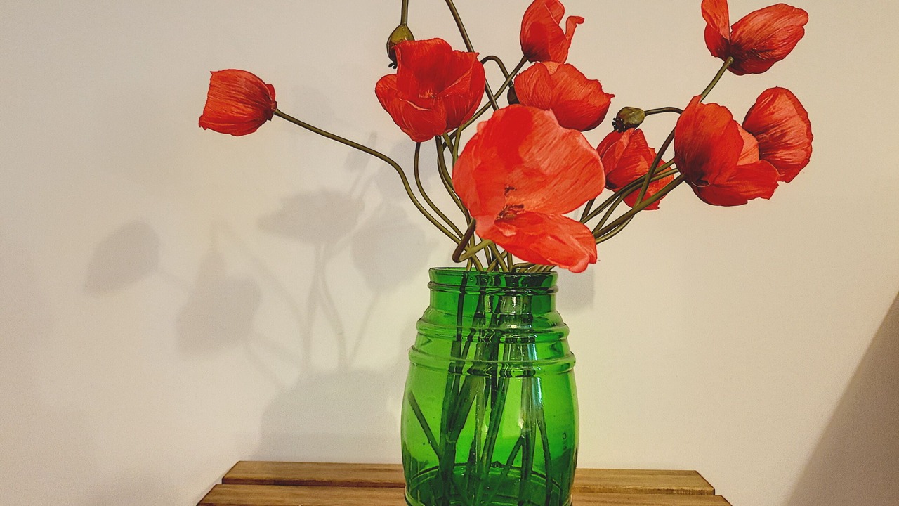 Photo of Outdoor in Castelnaudary