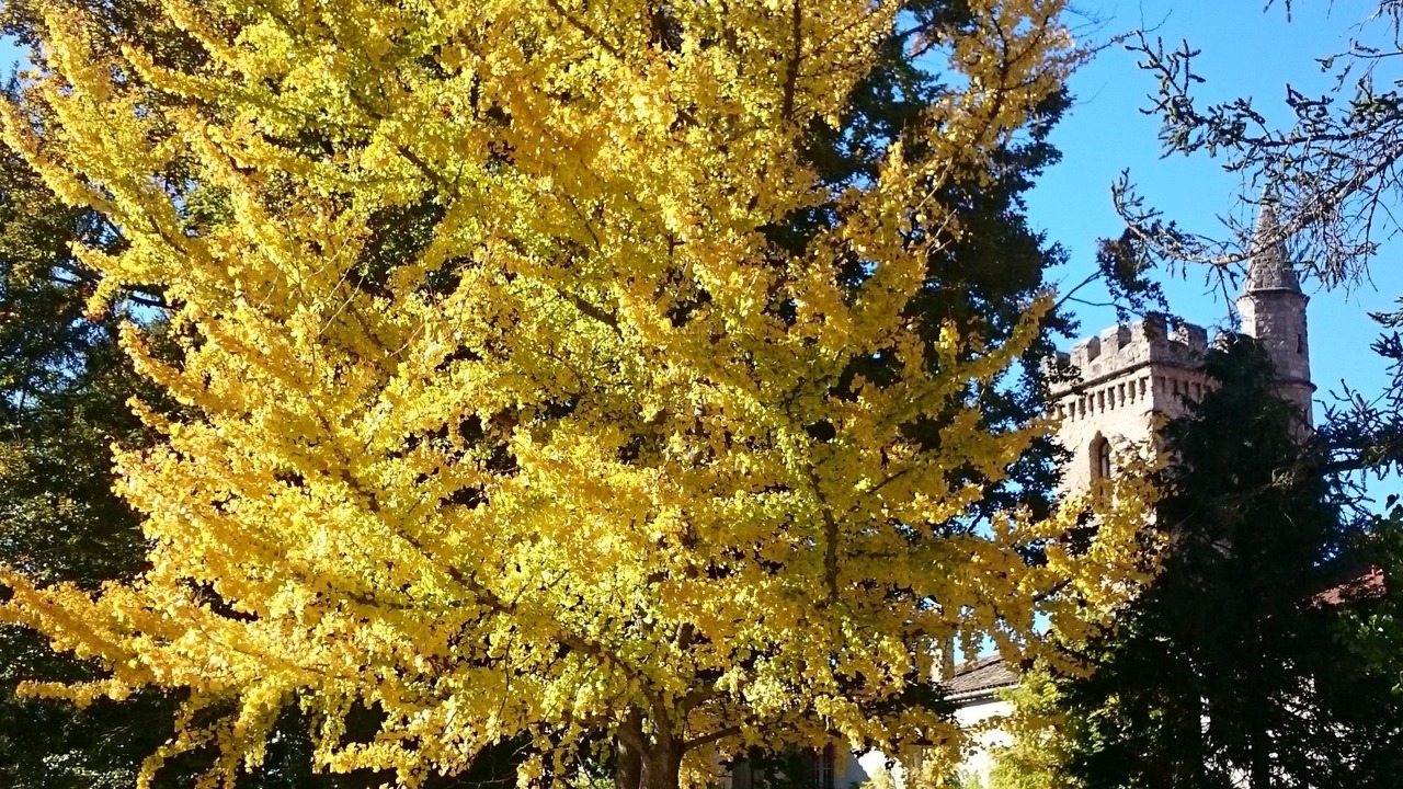 Photo of Outdoor in Creissels