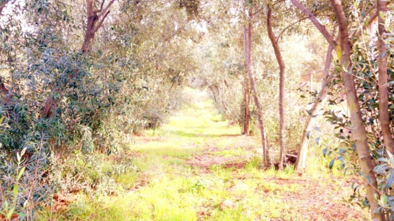 Photo of Outdoor in Tecate