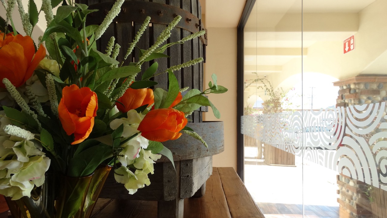 Photo of Others in Tecate