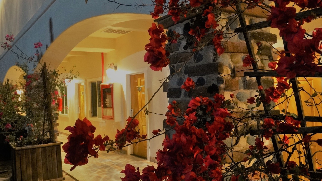 Photo of Outdoor in Tecate