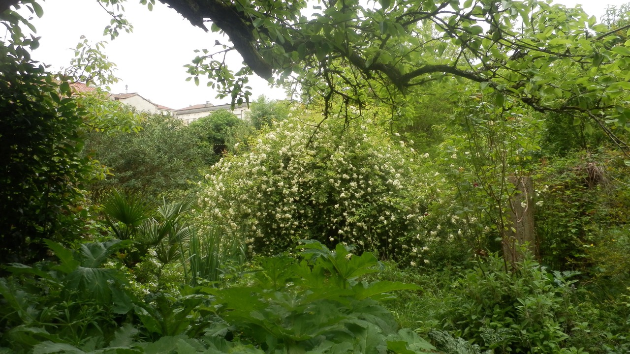 Photo of Outdoor in Vic-Fezensac
