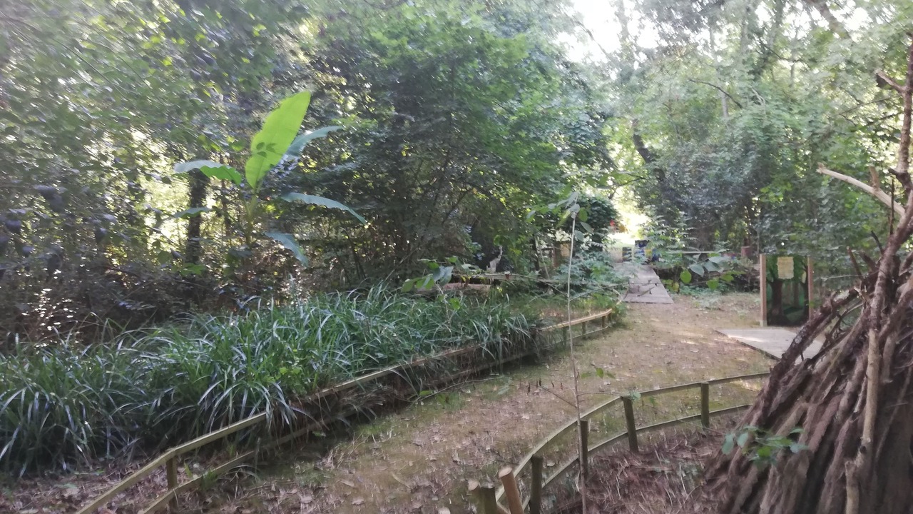 Photo of Outdoor in Vic-Fezensac