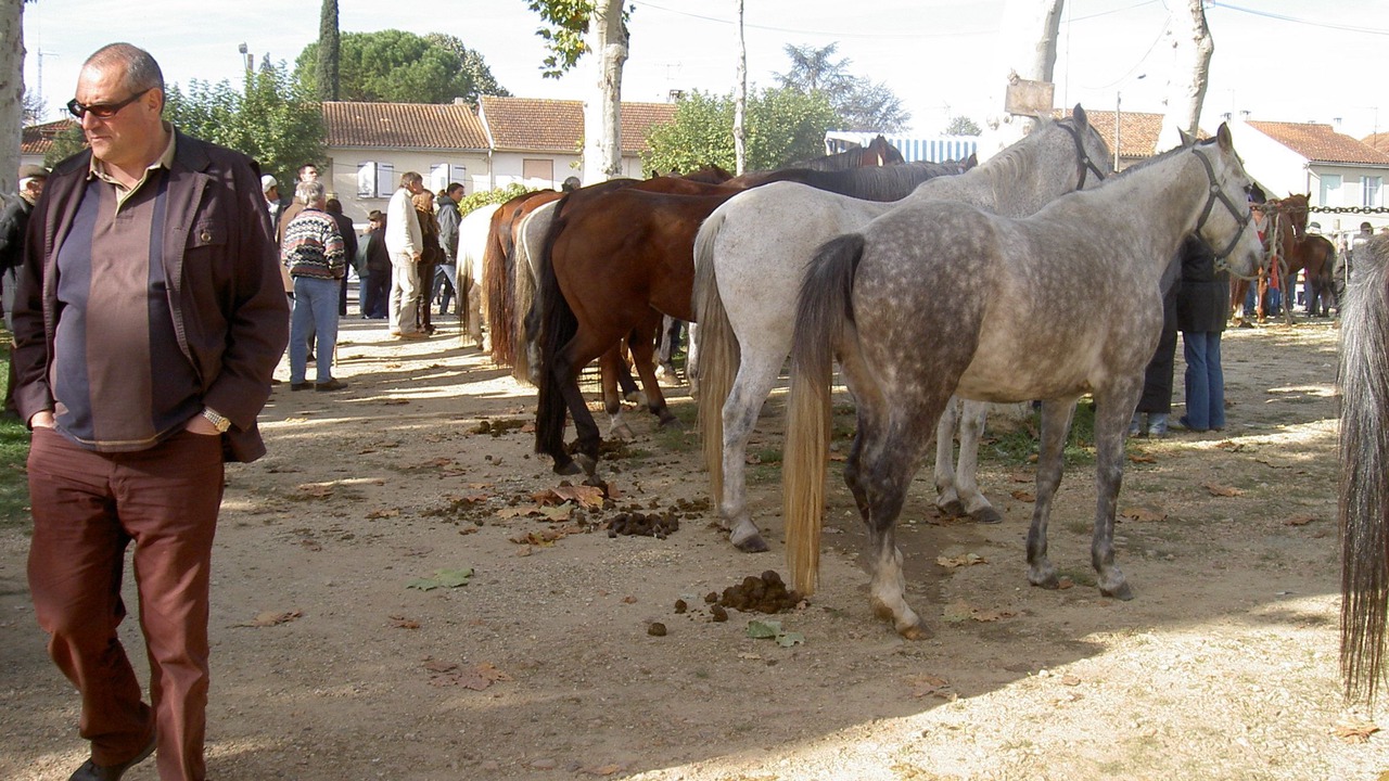 Photo of Outdoor in Vic-Fezensac