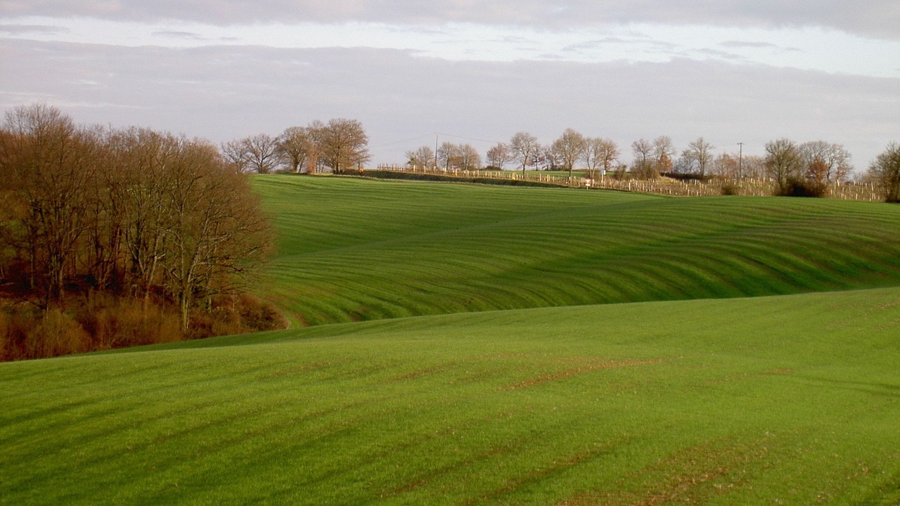 Photo of Outdoor in Vic-Fezensac
